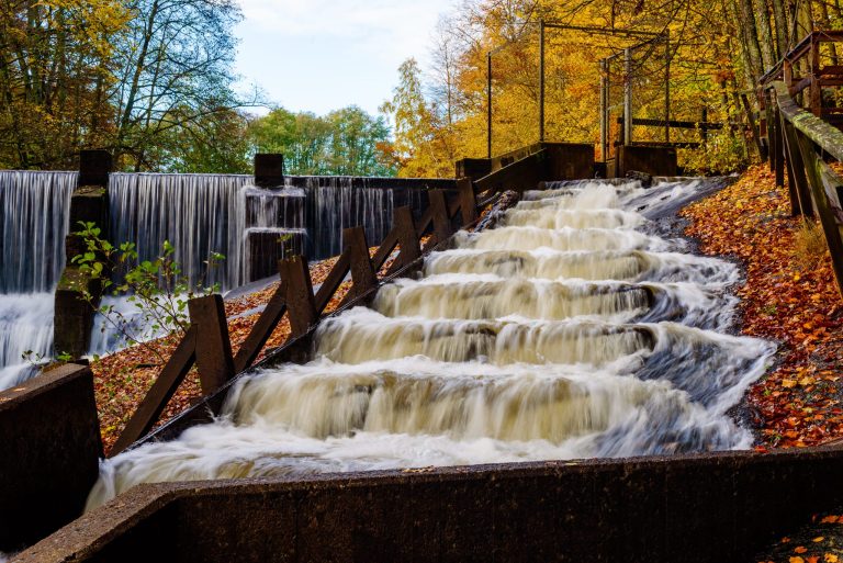 IoT Connectivity for Salmon Tracking in Rural Locations