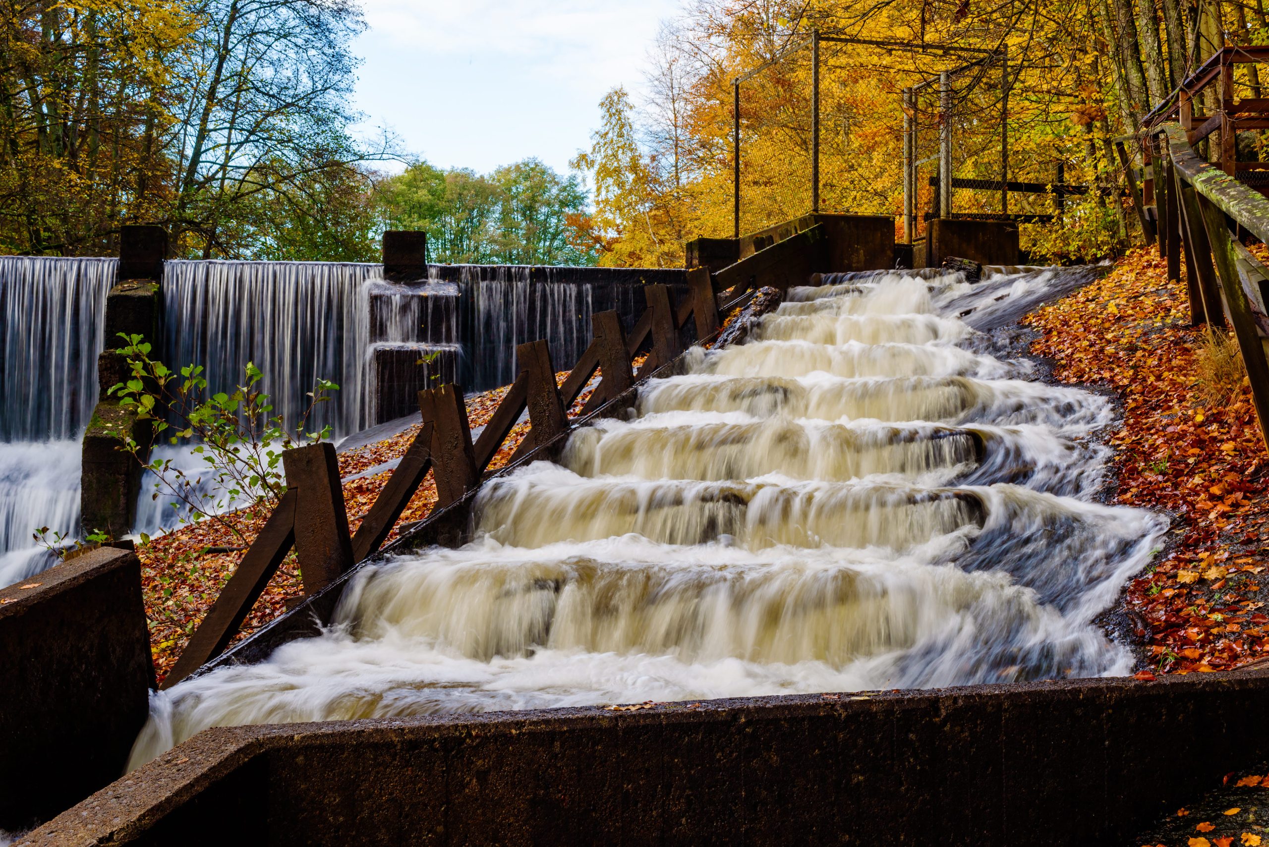 IoT Connectivity for Salmon Tracking in Rural Locations
